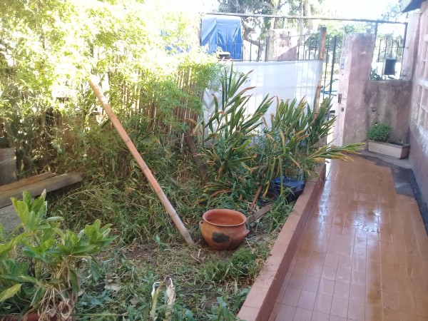 OPORTUNIDAD Se vende Ph en planta baja con local en Boulogne