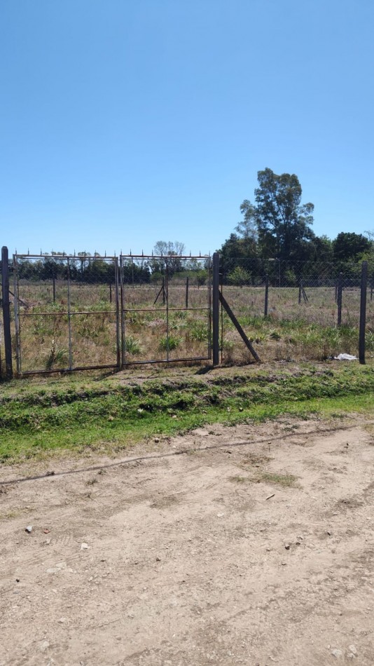 SE VENDE TERRENO EN LA LONJA, PILAR