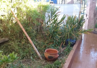 OPORTUNIDAD Se vende Ph en planta baja con local en Boulogne